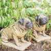 Pair of Full Size Sitting Pugs Stone Statues