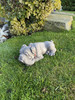 Lying Bulldog Small Garden Ornament