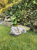 Lying Bulldog Small Garden Ornament