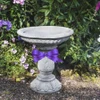 Beautifully Designed Ornate Stone Bird Bath 