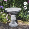Beautifully Designed Ornate Stone Bird Bath by Discount Garden statues