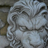 Lion Head design Wall Plaque