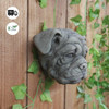 Adorable Bulldog Head Stone Wall Plaque