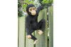 Monkey Fence Hanger Outdoor Ornament