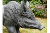 Large wild boar statue