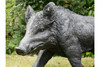 Large wild boar statue