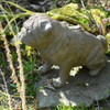 Full Size Pug Cold cast Bronze dog Statue