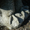 Stone Cast Giant Eagle Statue