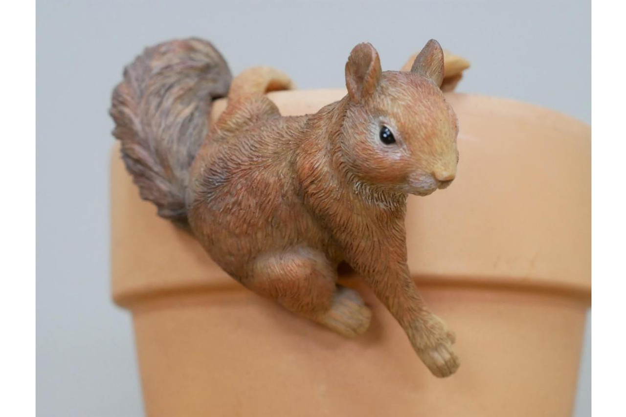 Lovely Small Three Squirrel Hangers Pot 