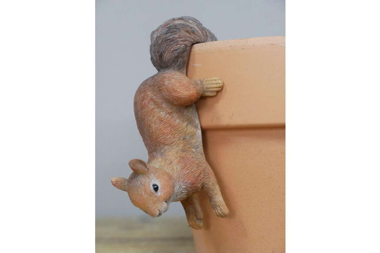 Lovely Small Three Squirrel Hangers Pot 