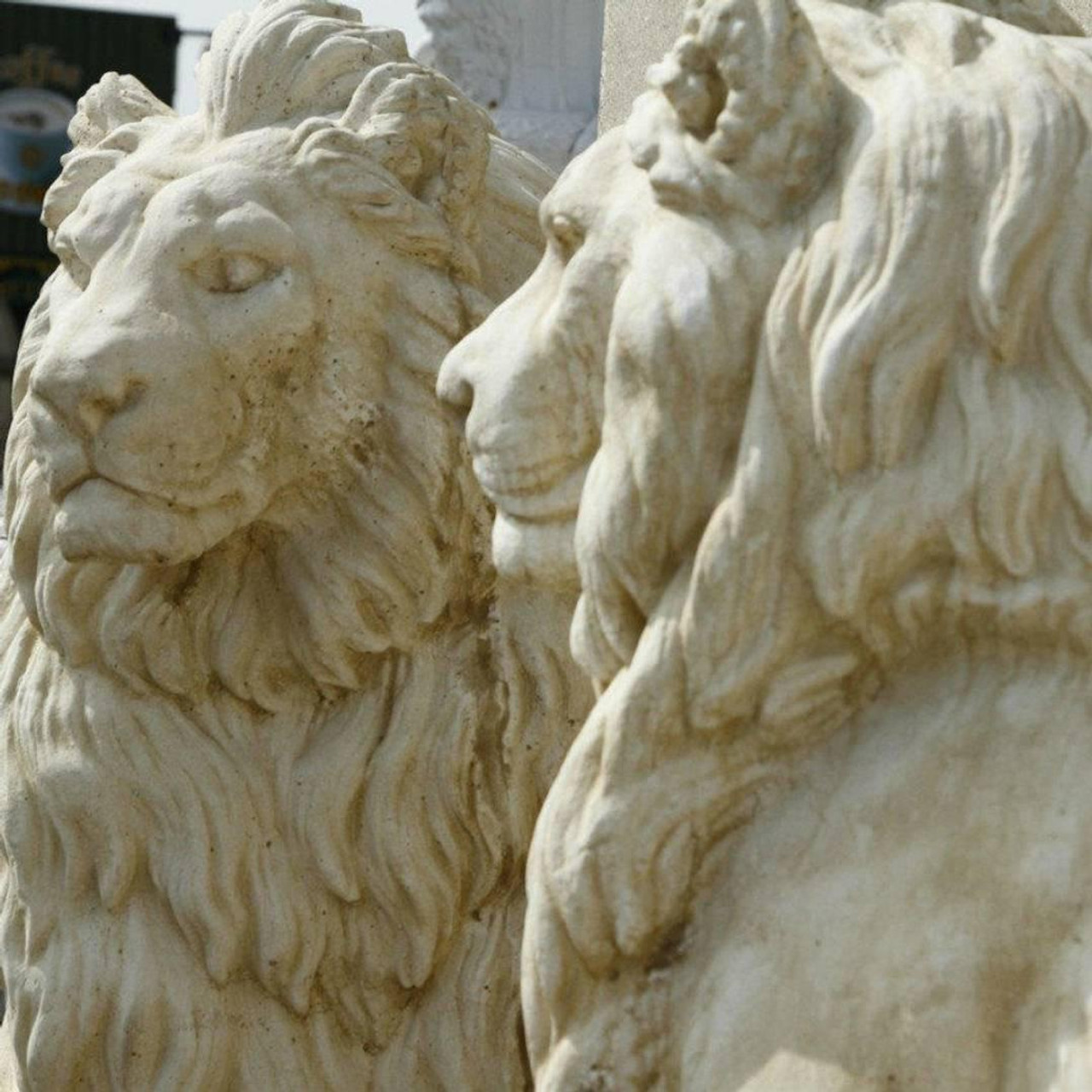 Single Giant White Porto Lion Facing Right 