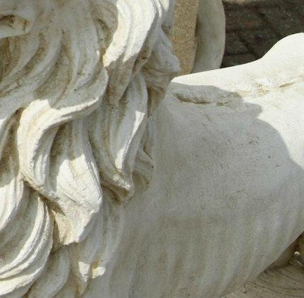 Very Large Stunning Lion's sculpture on a ball facing left