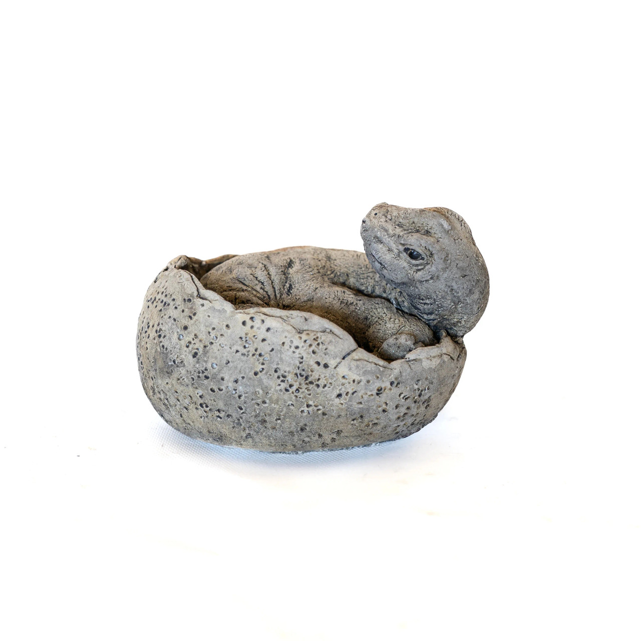 Small Brontosaurus Stone Cast Garden Sculpture Dinosaur Animal Statue