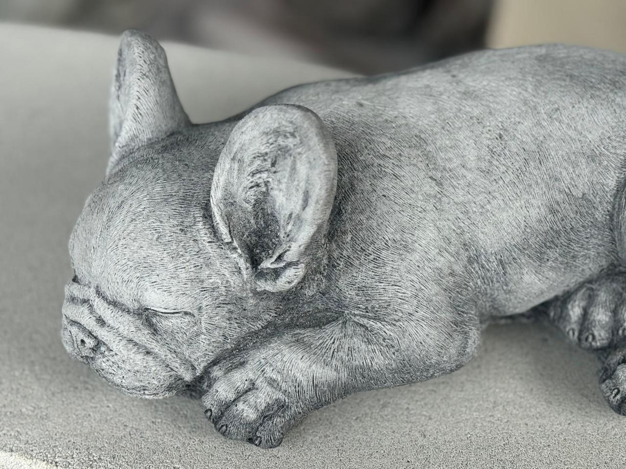 Small Laying Frenchy 
