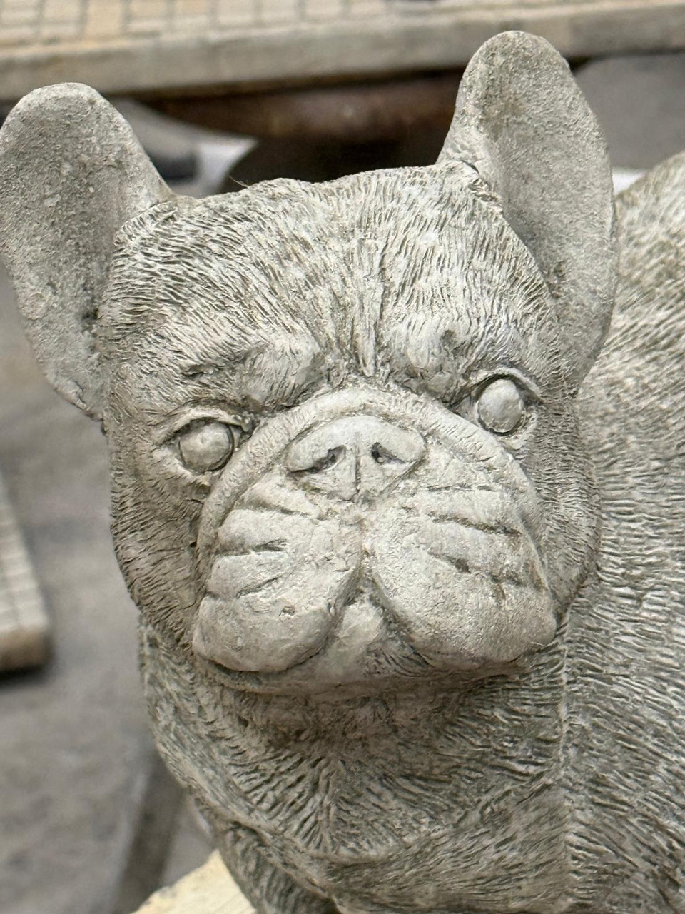 Standing Frenchie Stone Statue Detailed Garden Ornament