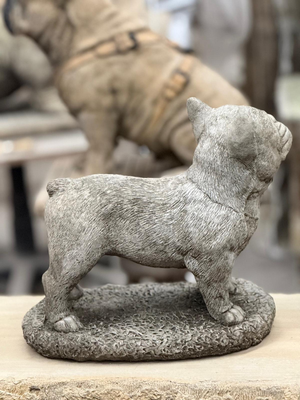 Standing Frenchie Stone Statue Detailed Garden Ornament