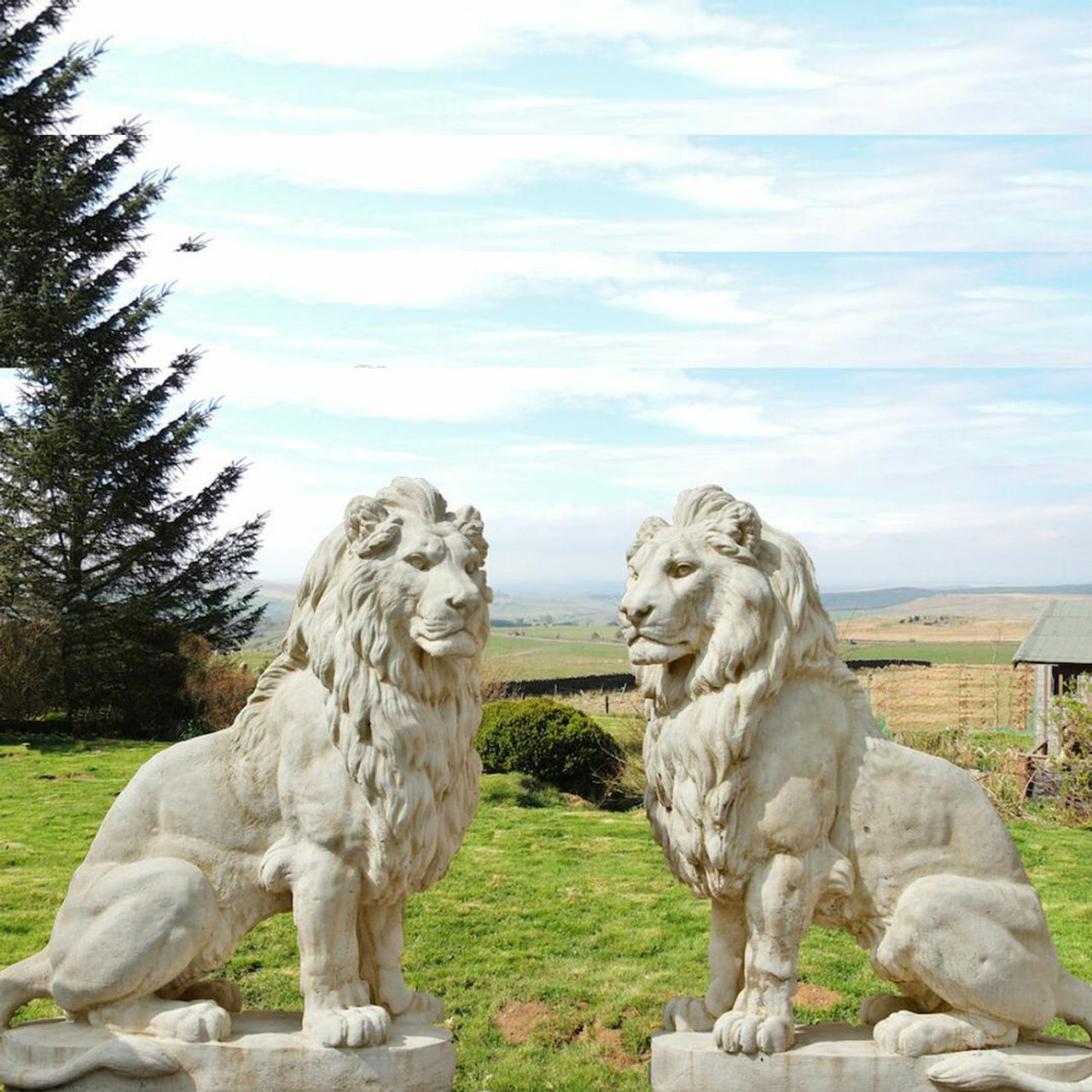 Pair Of Giant Stone Cast Lions 1.35 m, 600kg each