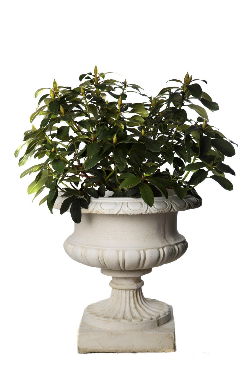 Pair of Large Edwardian Stone Vases without Handles Pair of Large Edwardian Stone Vases without Handles