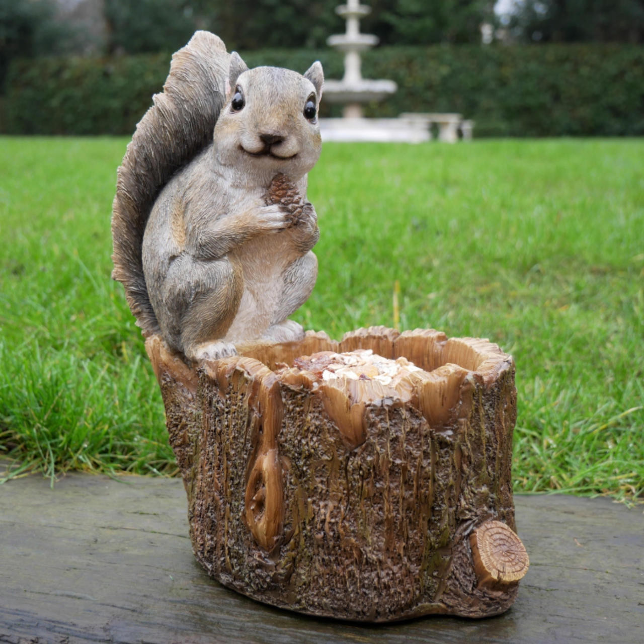 Squirrel sitting on Log bird feeder