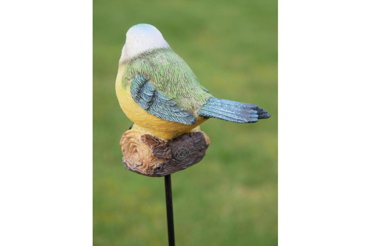 Blue Tit sitting on Stake Garden decoration