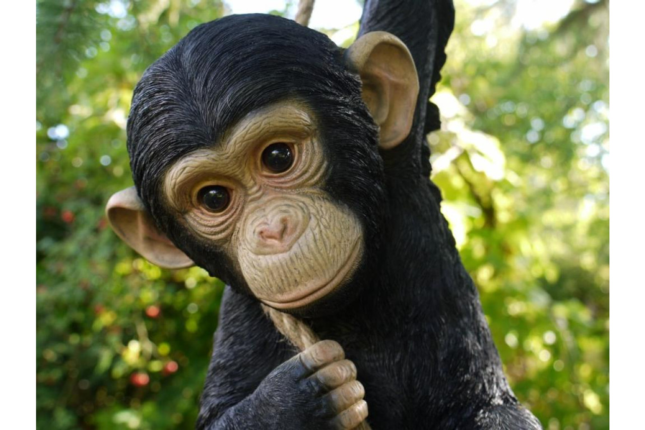 Climbing Monkey with rope Garden Ornament