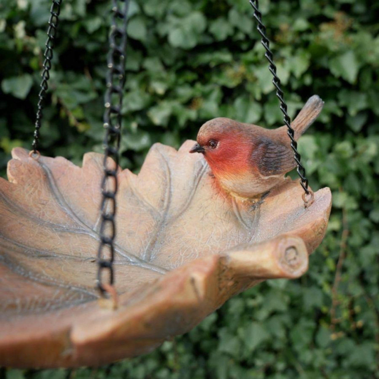 Robin Bird Feeder