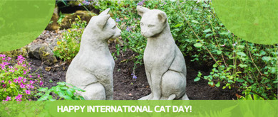 For all Feline lovers out there!! International Cats Day is coming & lets not forget our Dog Lovers too?
