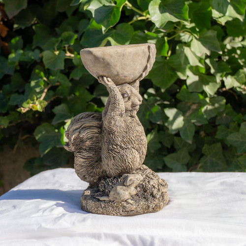 Small Adorable Squirrel And Nut Design Stonecast Bird Bath 