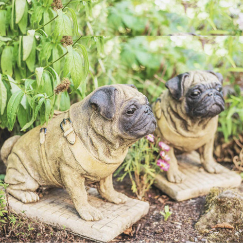 Pair of Full Size Sitting Pugs Stone Statues Pair of Full Size Sitting Pugs Stone Statues