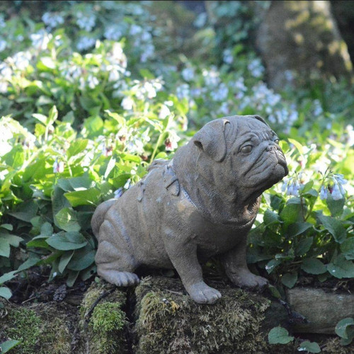 Full Size Pug Cold cast Bronze dog Statue Full Size Pug Cold cast Bronze dog Statue