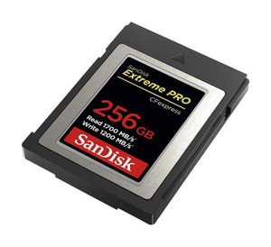 SanDisk FFD-25-IDEP-10240-N-B 10GB SSD