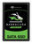 Seagate ZA250CM10003 250GB SATA SSD