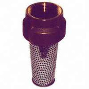 Foot Valve- 1"- Brass- FPT