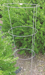 Tomato Cage- 33" x 12"- Galvanized