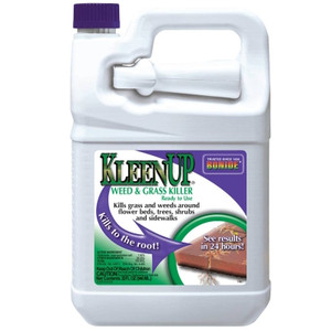 Kleen Up RTU Gallon- With Sprayer