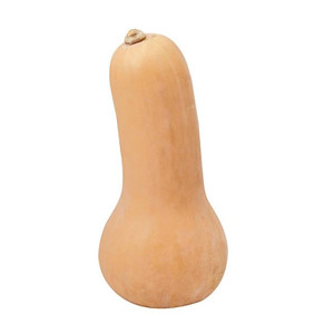 Squash- Butternut- 100%  Organic Seeds