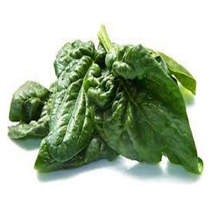 Spinach- Bloomsdale- 100% Organic Seeds