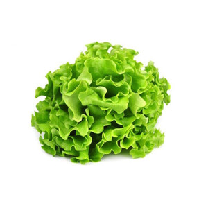 Lettuce - Black Seeded Simpson- 100% Organic