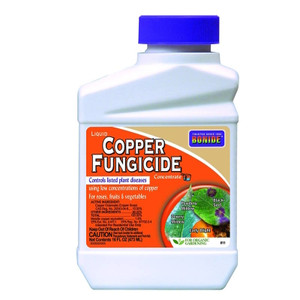 Bonide- Copper Fungicide Concentrate- 16 Oz