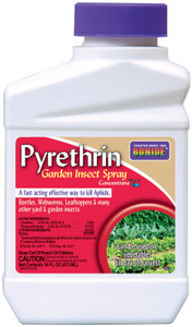 Bonide- Pyrethrin Concentrate Pint