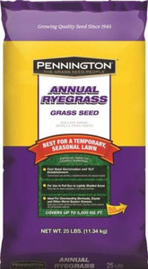 Grass Seed- Annual Rye- 25 Lb