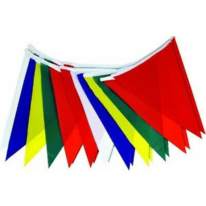 Pennant Flags- Multi-Color- 50''