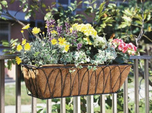 Wall Planter W/Coconut Liner- 30" x 8" x 9"