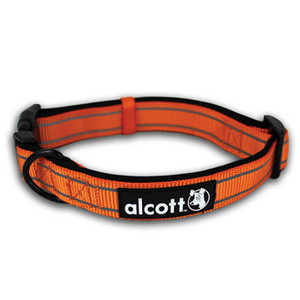 Dog Collar- Neon Orange- Small- 10" - 24"