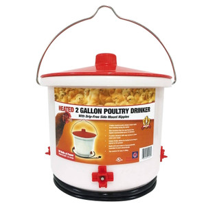 Poultry Waterer- 2 Gallon- Heated- Plastic- Drinker