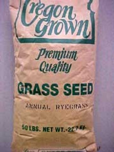 Pasture Annual Rye Grass 50 LB