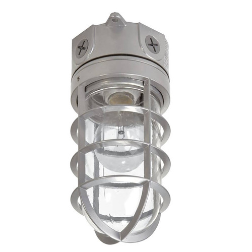 Vaportight Light Fixture- Clear Glass Globe