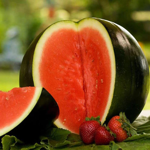 Watermelon- Sugar Baby- 100% Organic Seeds