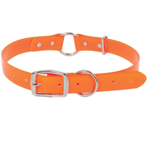 Dog Collar- 1" x 14" - 22"- Thermoplastic Polyurethane- Safety Orange