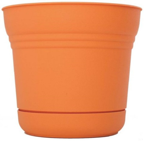 Planter With Saucer- 5" Tequila Sunrise